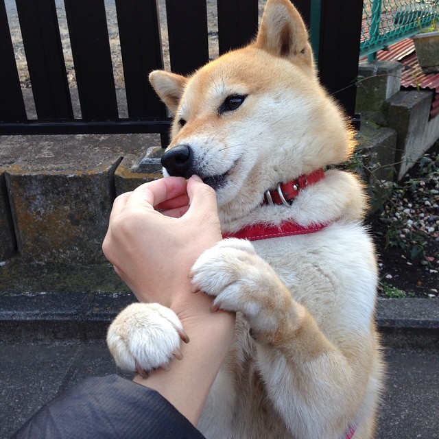 沙特资本世纪豪购勒沃库森!内马尔转会成破局关键,阿隆索史诗赛季见证足球新秩序崛起