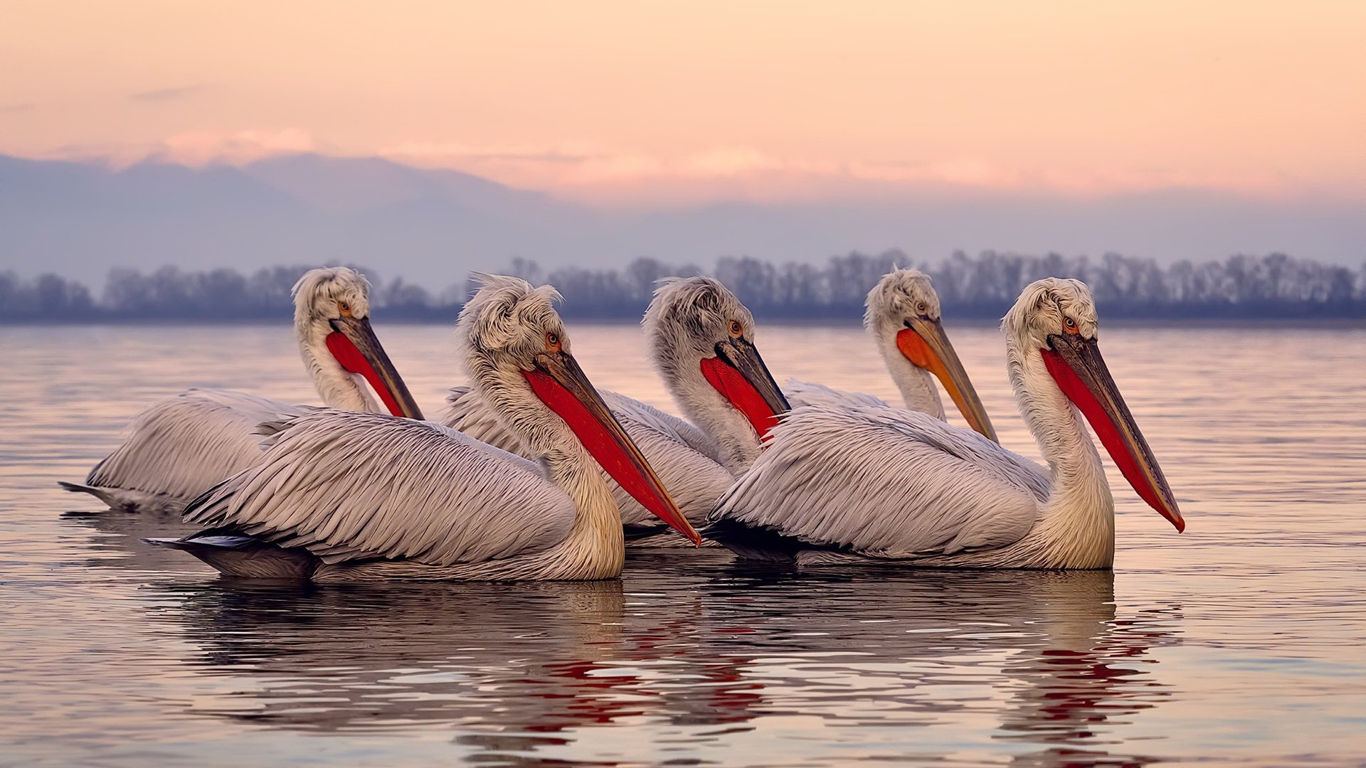 雷火电竞亚洲先驱-乔治的舞台与东方的梦，当独行侠晋级遇见上海队的坚韧