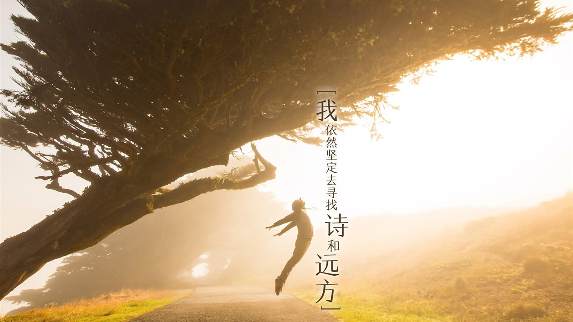 地中海与撒哈拉的碰撞,提前终结悬念,门迪成为关键先生