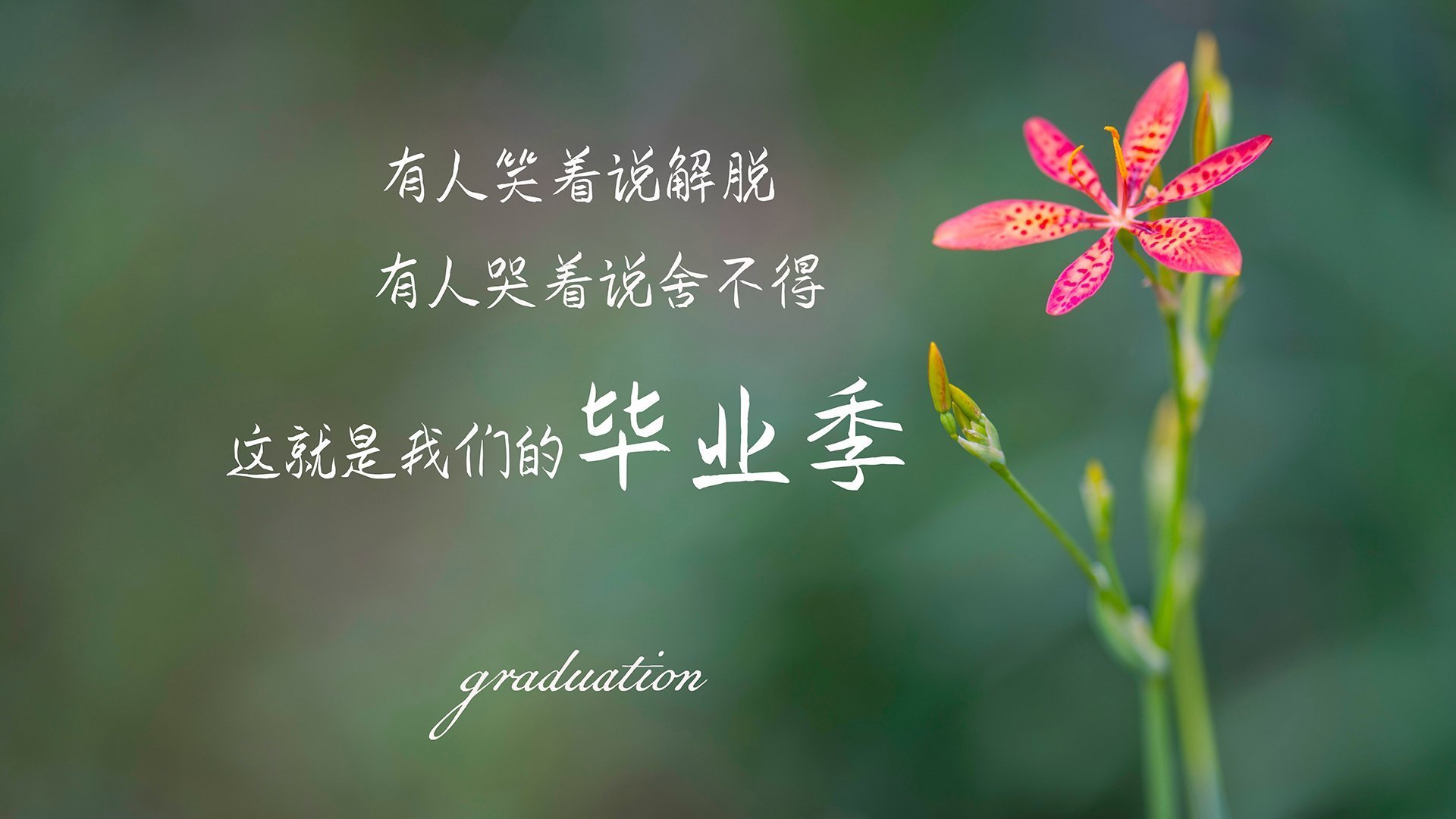 当虚拟钢印被盖上，西决错位时空中，步行者压哨一投的永恒重量