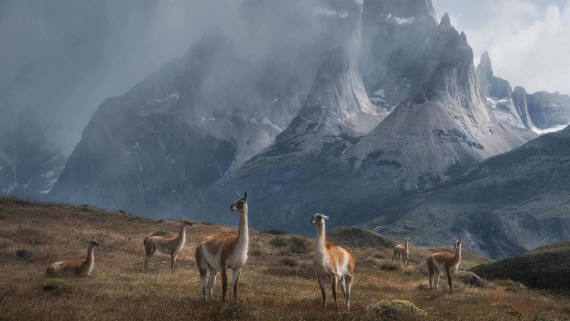 孤独的火炬与熄火的战车,加维史诗表演如何被哥伦比亚扼杀于星链中