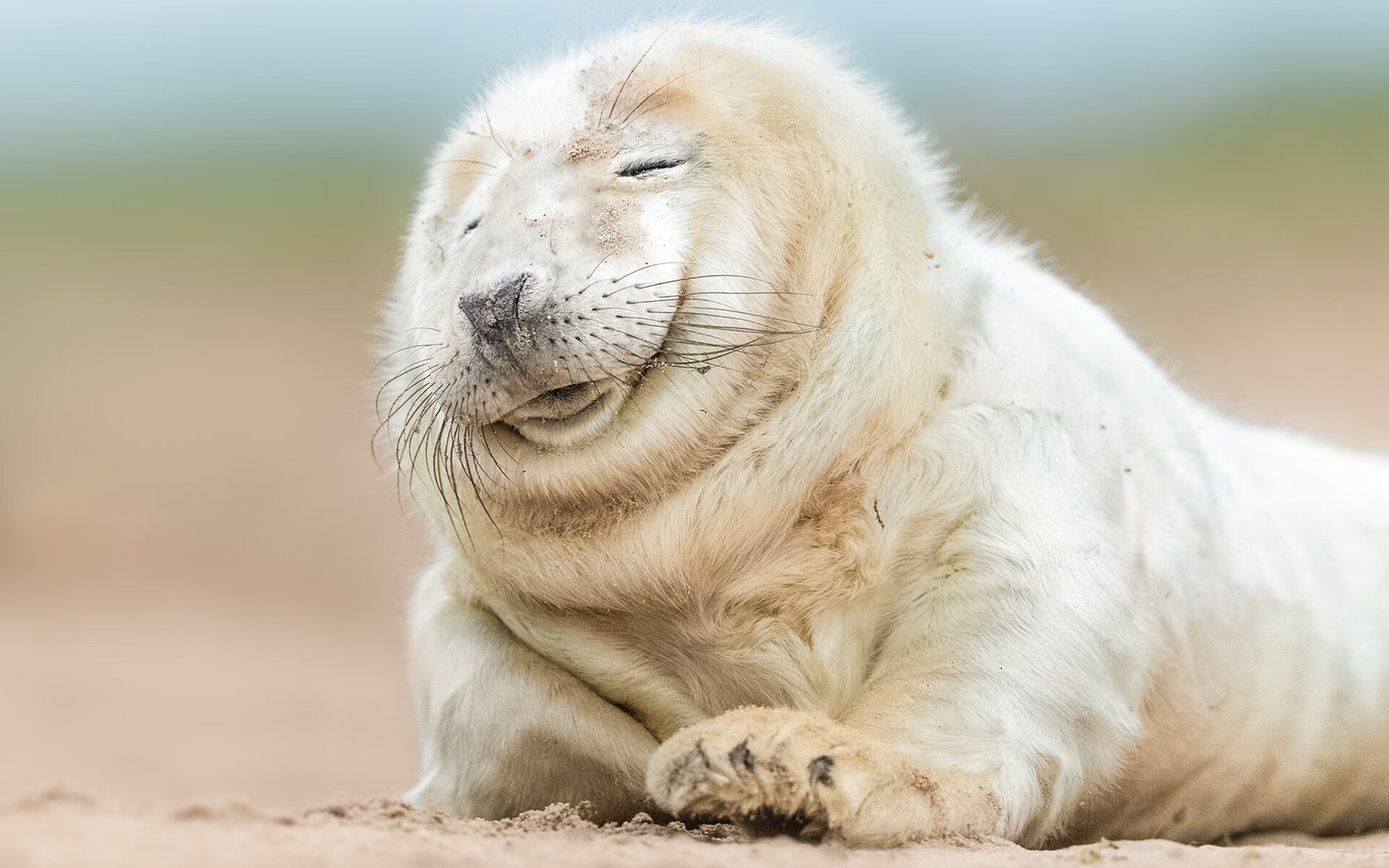 雷火电竞-夜战天山，霍硬仗封王！上海奇兵一击制胜的秘密