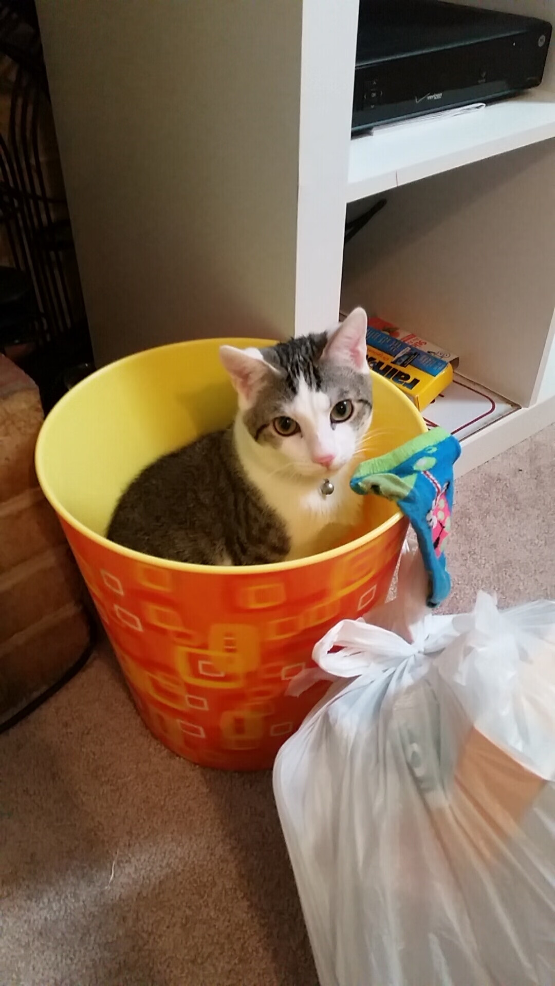 扩展思维后的文章标题