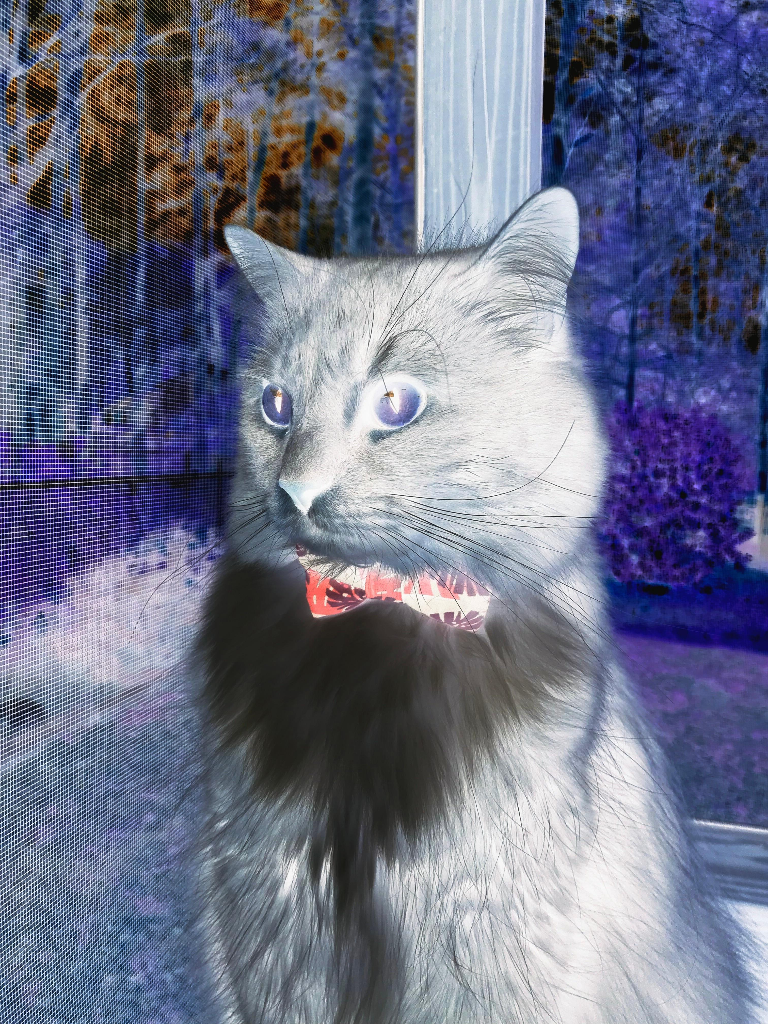 雷火电竞网站-舞台越大，莫德里奇越强！雷恩以战术智慧压制塞维利亚