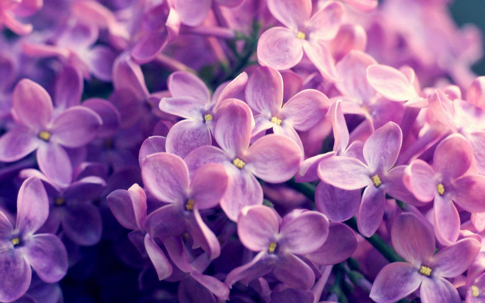 极速狂飙，辽宁队如F1赛车般连续超车，浙江队于竞技街道无路可逃