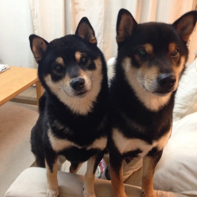 绿茵双面镜，当国家德比照亮南非世界杯的黎明