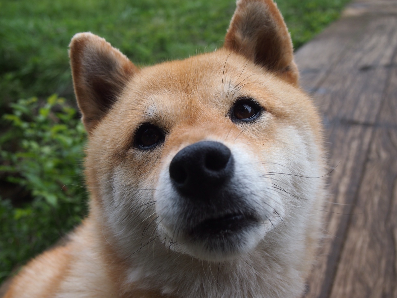 时空交错的王座，当国王鏖战广东，欧文以刀锋舞蹈