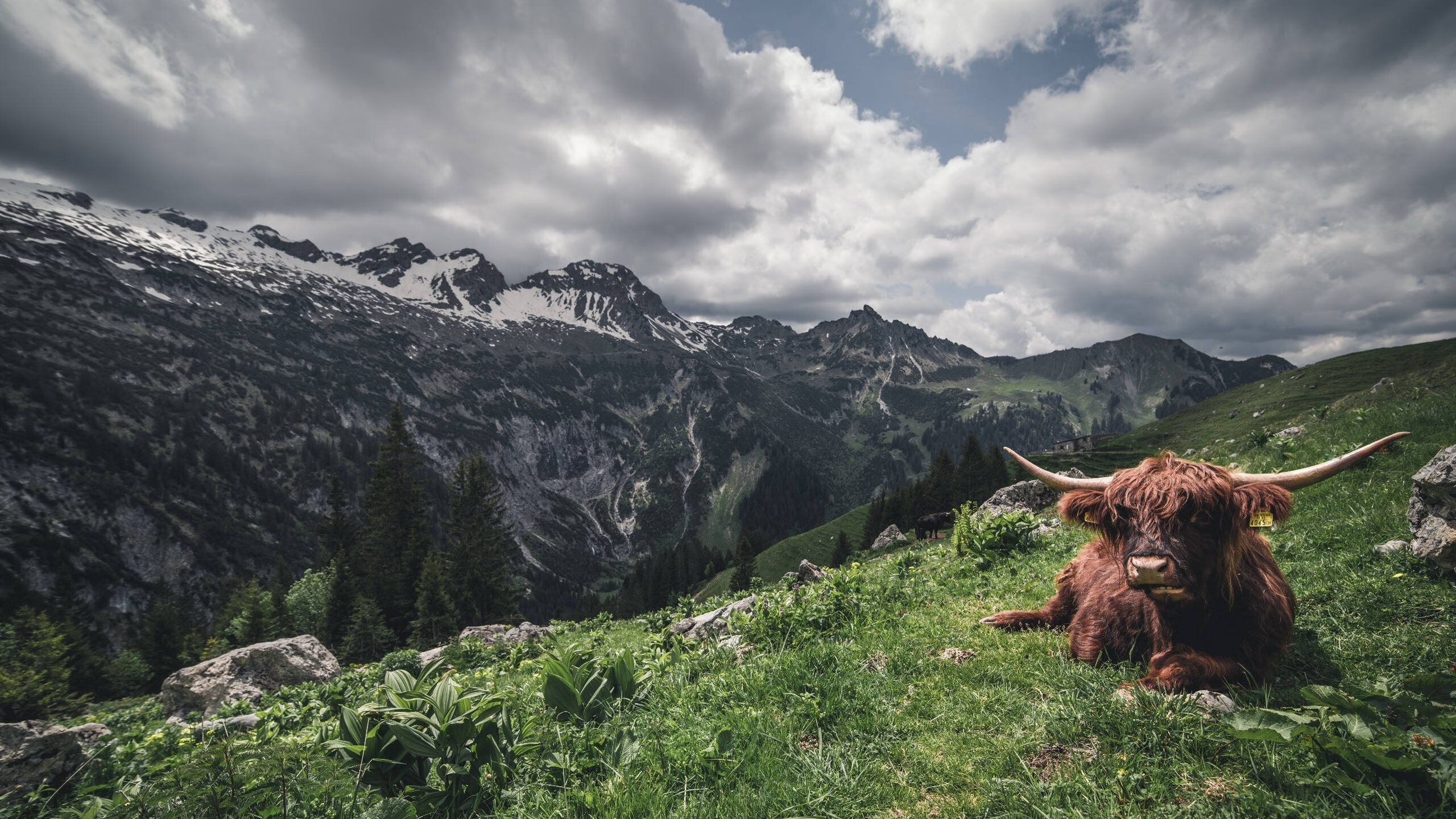 恩比德大帝爆发76人取胜，独行侠关键战力克湖人