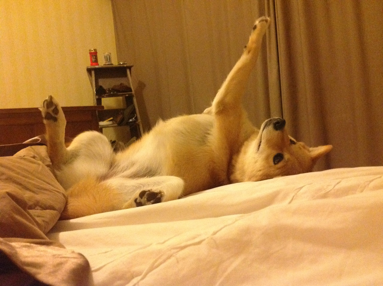 雷火电竞官网-风暴中的救赎，奥纳纳一锤定音，利物浦轻取贝蒂斯稳军心