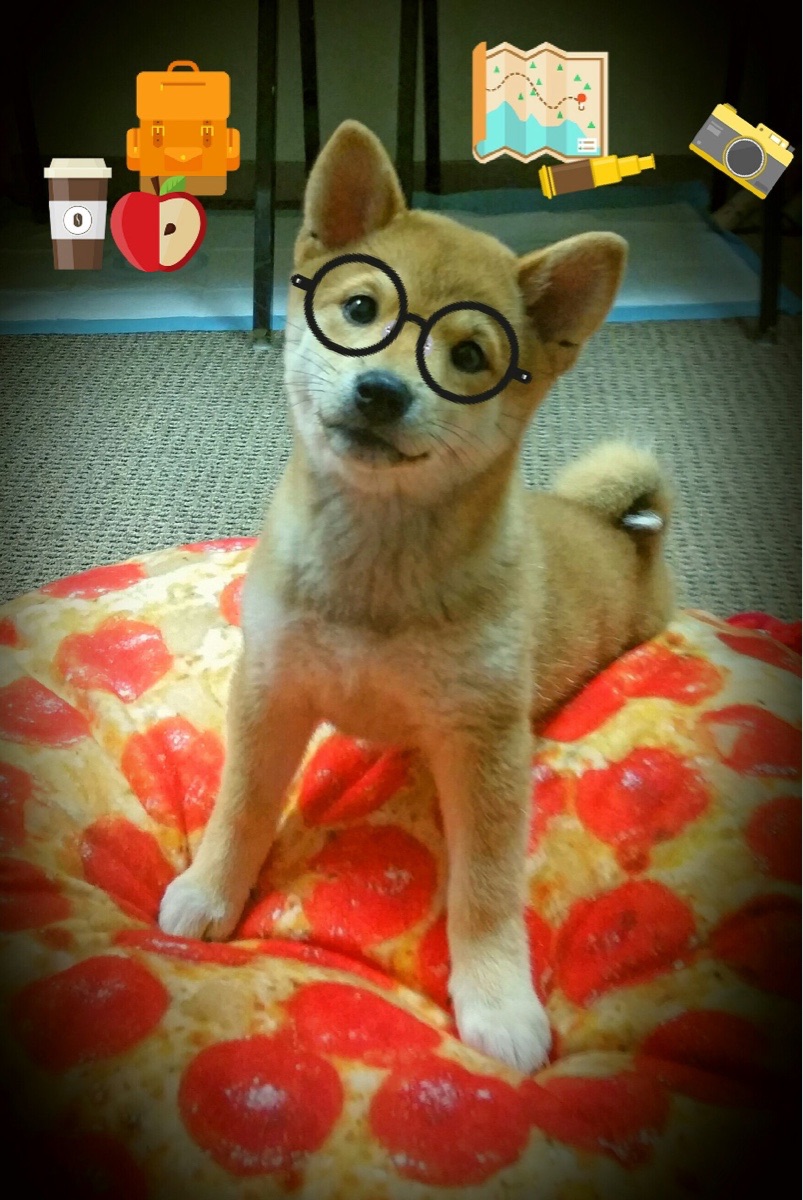 巨人倒地的轰鸣，阿坎吉的烈火，踏平奥林匹亚山