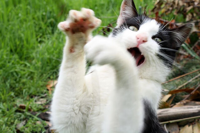 一秒钟的两种人生，凯塞多的脚尖，如何改写了欧冠的时间线