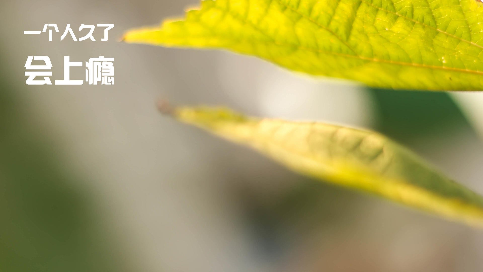 让我先发散思维，思考这个独特组合背后可能的叙事