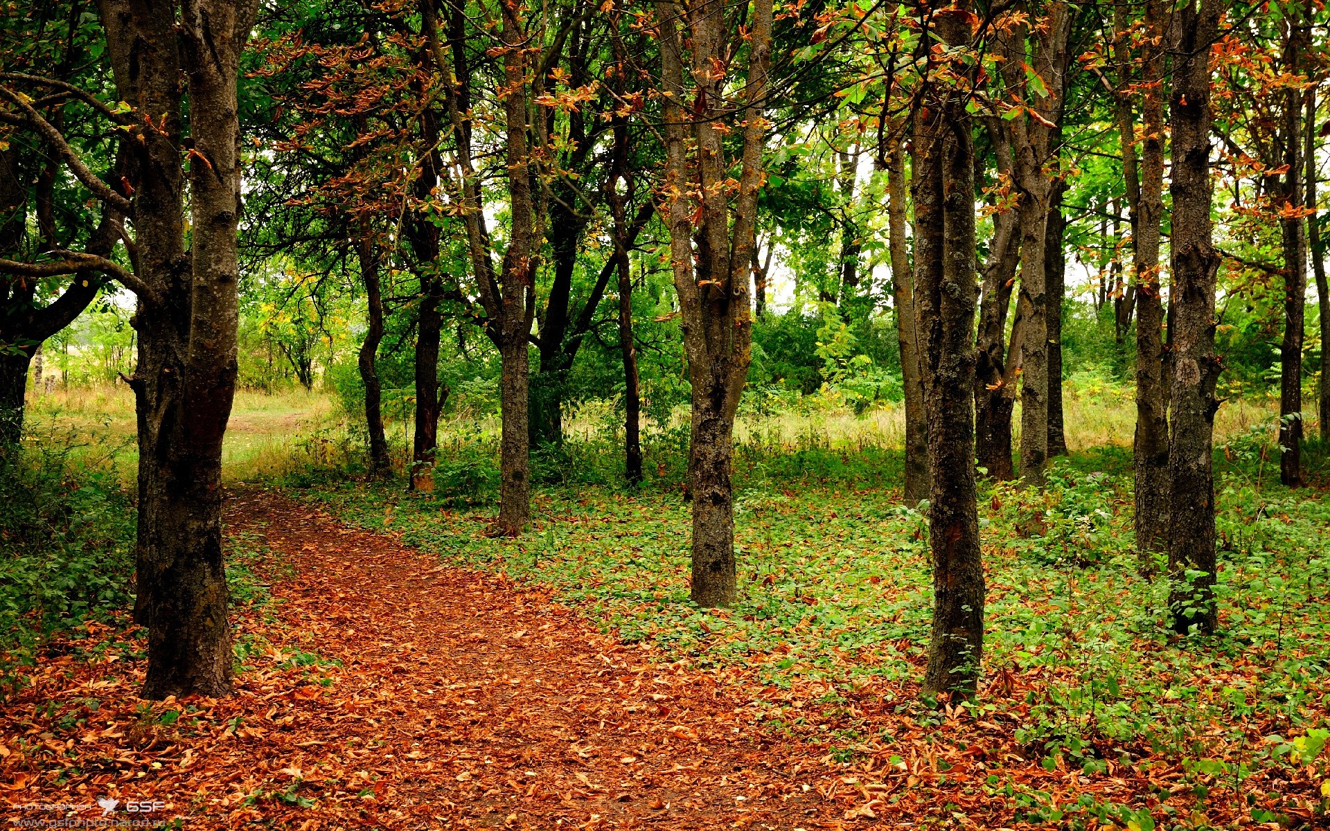 拉梅洛的夜晚，2026世界杯，他用唯一的姿态扛起整个时代